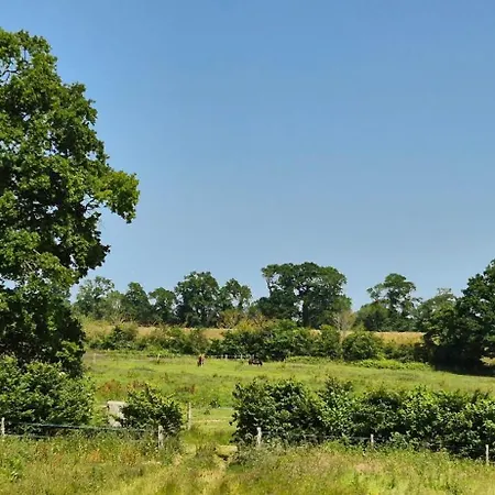Maison Confortable à Saint-pierre-du-mont Avec Jardin