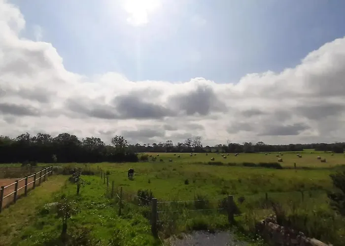 Maison Confortable A Saint-pierre-du-mont Avec Jardin * Saint-Pierre-du-Mont (Calvados)