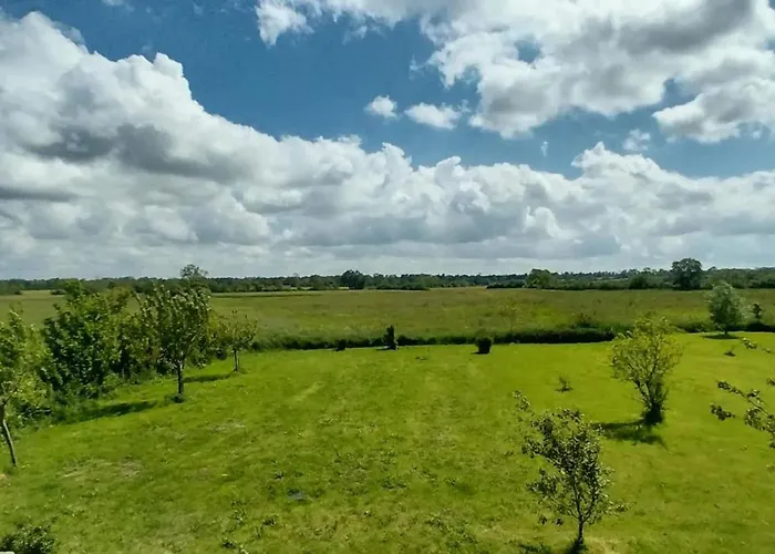 Ferienhaus Maison Confortable A Saint-pierre-du-mont Avec Jardin