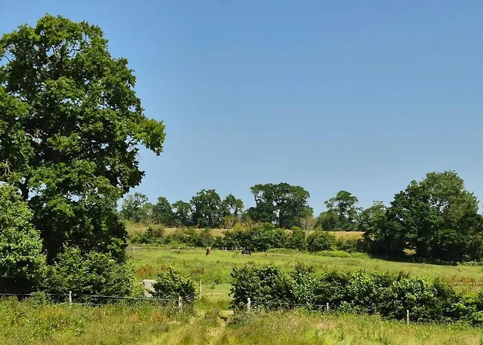Maison Confortable A Saint-pierre-du-mont Avec Jardin